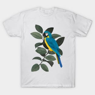 Parrot and jungle T-Shirt